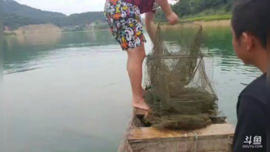 黄石水库钓甲鱼 2018-07-25 11点场