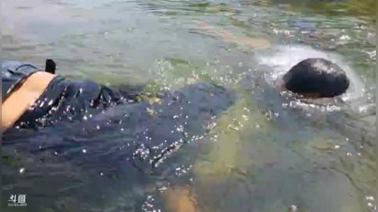 甲鱼大师出动了 2018-07-27 10点场