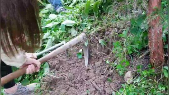 上山了上山了 2018-07-26 16点场