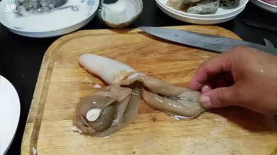 我在斗鱼看鬼豪户外直播美食