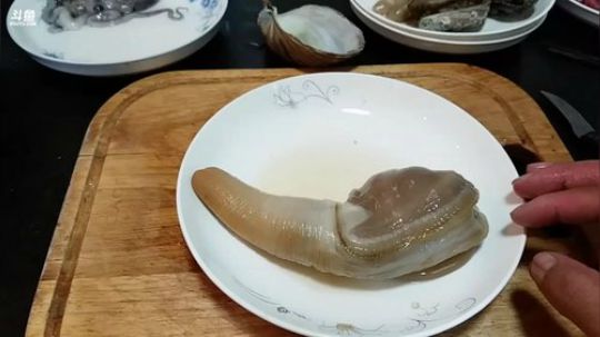 我在斗鱼看鬼豪户外直播美食