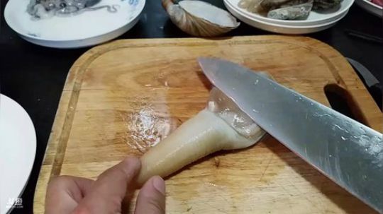 我在斗鱼看鬼豪户外直播美食