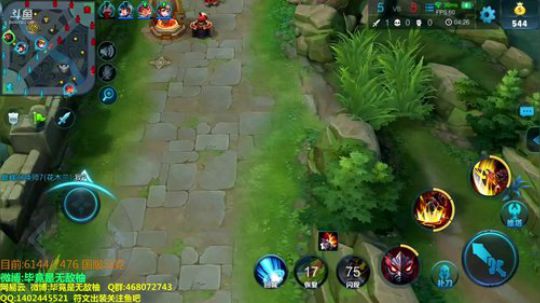 国服阿珂巅峰赛 2018-07-30 21点场