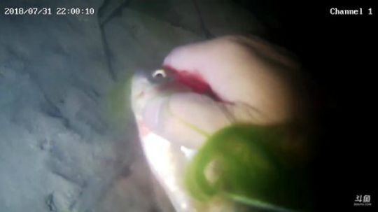 468241的直播间 2018-07-31 21点场