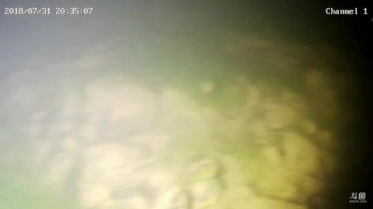 潜水射鲤鱼，第一视角 2018-07-31 19点场