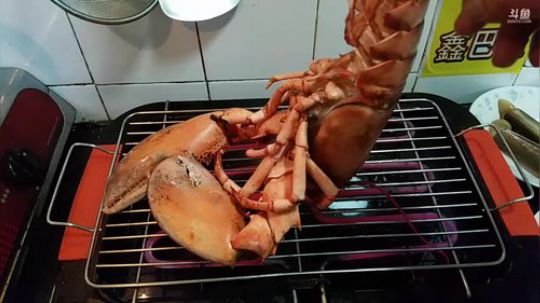 我在斗鱼看鬼豪户外直播美食