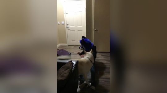 确认过眼神这是自己人!Sonicfox戴上头套获得狗子认可!