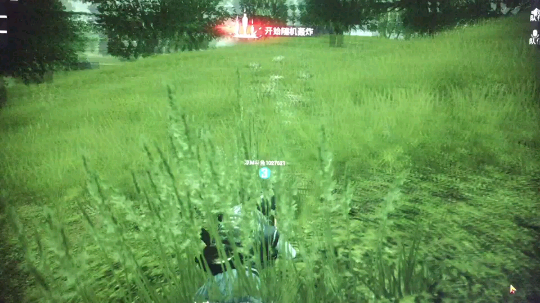 抱走阿凉视频_抱走阿凉的斗鱼视频空间_斗鱼