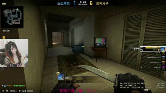 Kitty酱的直播精彩时刻：陪伴是最温柔的浪漫