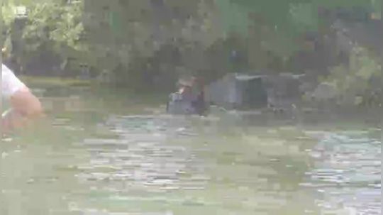 收笼子摸鱼， 2018-08-05 10点场