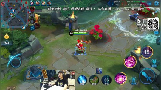 我在斗鱼看嗨氏直播王者荣耀