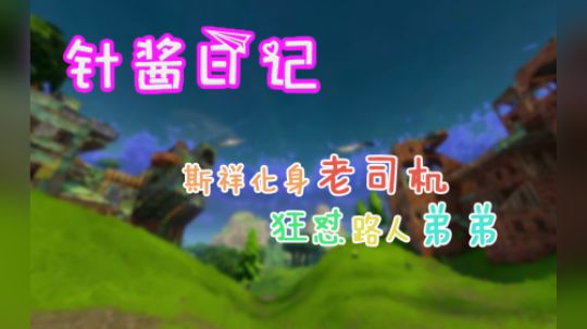 《针酱日记》第20期:斯祥化身老司机 狂怼路人弟弟