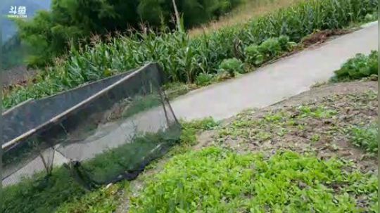 上山做饭饭啦 2018-08-10 16点场