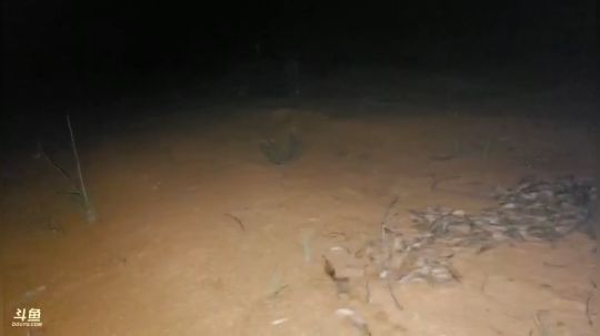 徒步开始啦， 2018-08-10 22点场