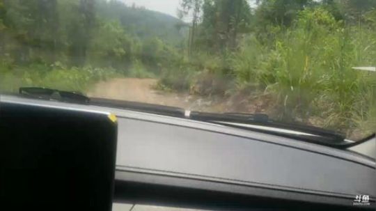 为民除害之大黄蜂 2018-08-12 14点场