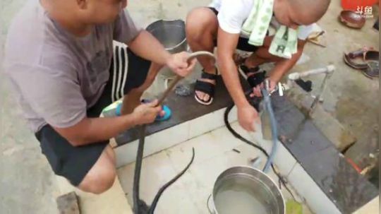 回家买梨抽奖。 2018-08-12 18点场