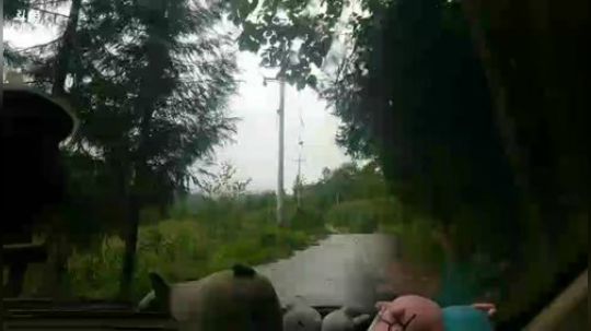 乡民的晚餐 2018-08-13 14点场