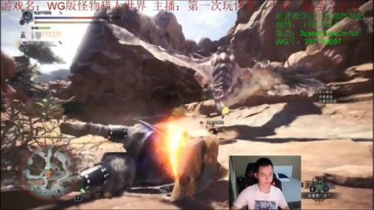 樱火龙、角龙-盾斧教学