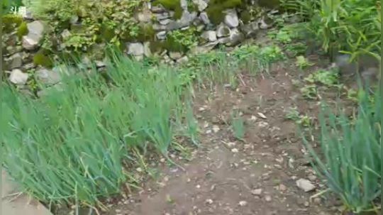 乡民的晚餐 2018-08-13 14点场