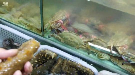 护法惊丶发布了一个斗鱼视频2018-08-14