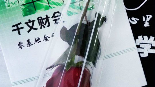8-17 资本公积 盈余公积