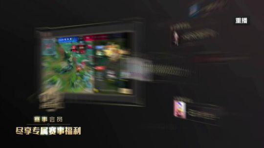 我在斗鱼看王者荣耀官方赛事直播王者荣耀