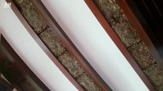 雅安美食达人 2018-08-20 11点场