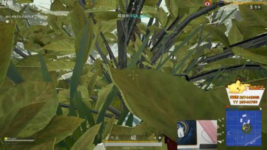 格调：承认我优秀很难 2018-08-21 15点场