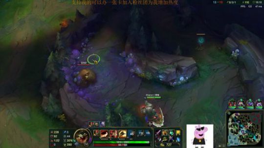 不一样的诺手鳄鱼,你值得关注 2018-08-23 09点场