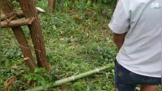 河道生活第一天， 2018-08-24 11点场