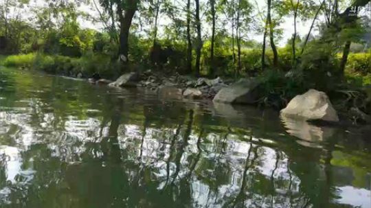 河道生活第一天， 2018-08-24 15点场