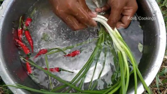【荒野熊孩】猪排青菜汤这种鲜甜不是一般人可以抵御的！