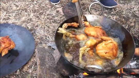 【印度吃播】三哥野外炸鸡，印度咖喱全鸡