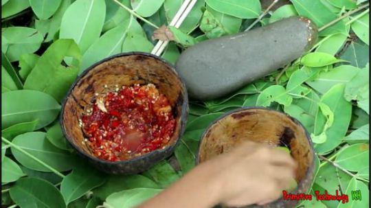 【荒野戏精】~两个小戏精~石板烤小鱼~整整齐齐~