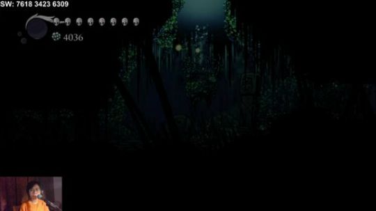 switch-8点打空洞骑士 开始收集！ 2018-08-27 21点场