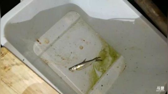 水库❌鱼货多多嘛？？ 2018-08-29 19点场