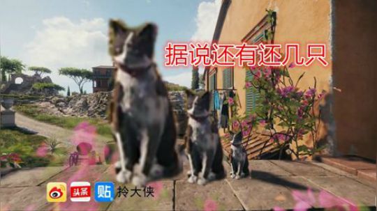 拎大侠坦克世界 万伤4005 彩蛋 坎帕尼亚有只猫