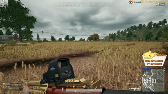 格调：承认我优秀很难 2018-08-30 15点场