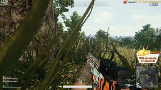 格调：承认我优秀很难 2018-08-30 21点场