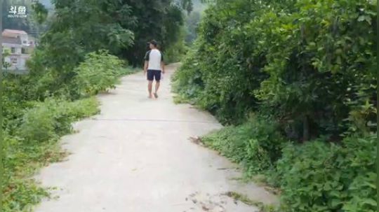 灭蜂小分队出发，下午接哲哥。 2018-08-30 13点场