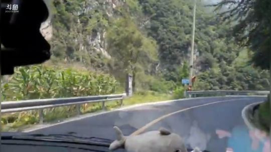 水友今天上山做凉拌猪心 2018-08-30 12点场