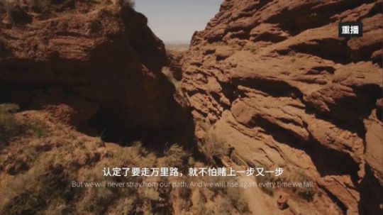 我在斗鱼看王者荣耀官方赛事直播王者荣耀