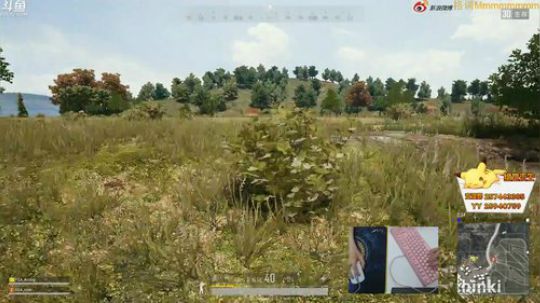 格调：承认我优秀很难 2018-09-01 15点场