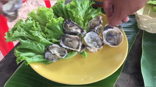 【荒野虫叔】~美味生蚝~打死也不烤