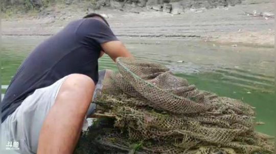 收地笼、围网喽 2018-09-04 12点场