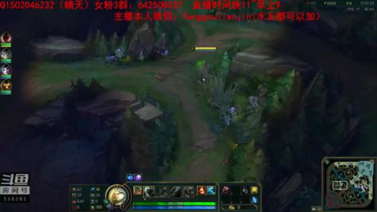 我在斗鱼看疯狗炼金直播英雄联盟