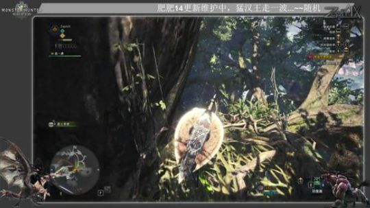 [怪物猎人:世界]调查古代树森林、讨伐骚鸟
