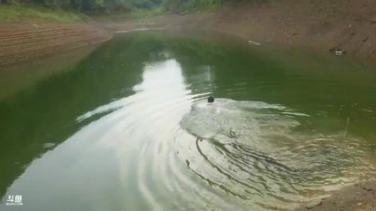 干塘致富，给二爷买最好的轮椅 2018-09-05 16点场