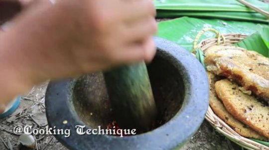 【荒野小姐姐】~新发现一只野生小姐姐~美味的蜂巢大餐~