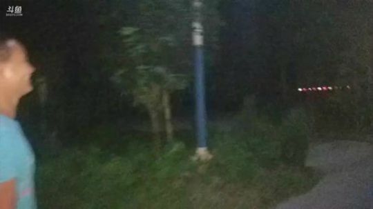 干塘致富，给二爷买最好的轮椅 2018-09-05 22点场